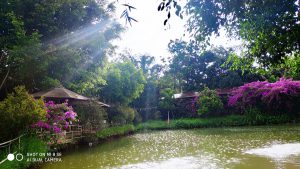 1-huong-dong-quan-pleiku-gia-lai